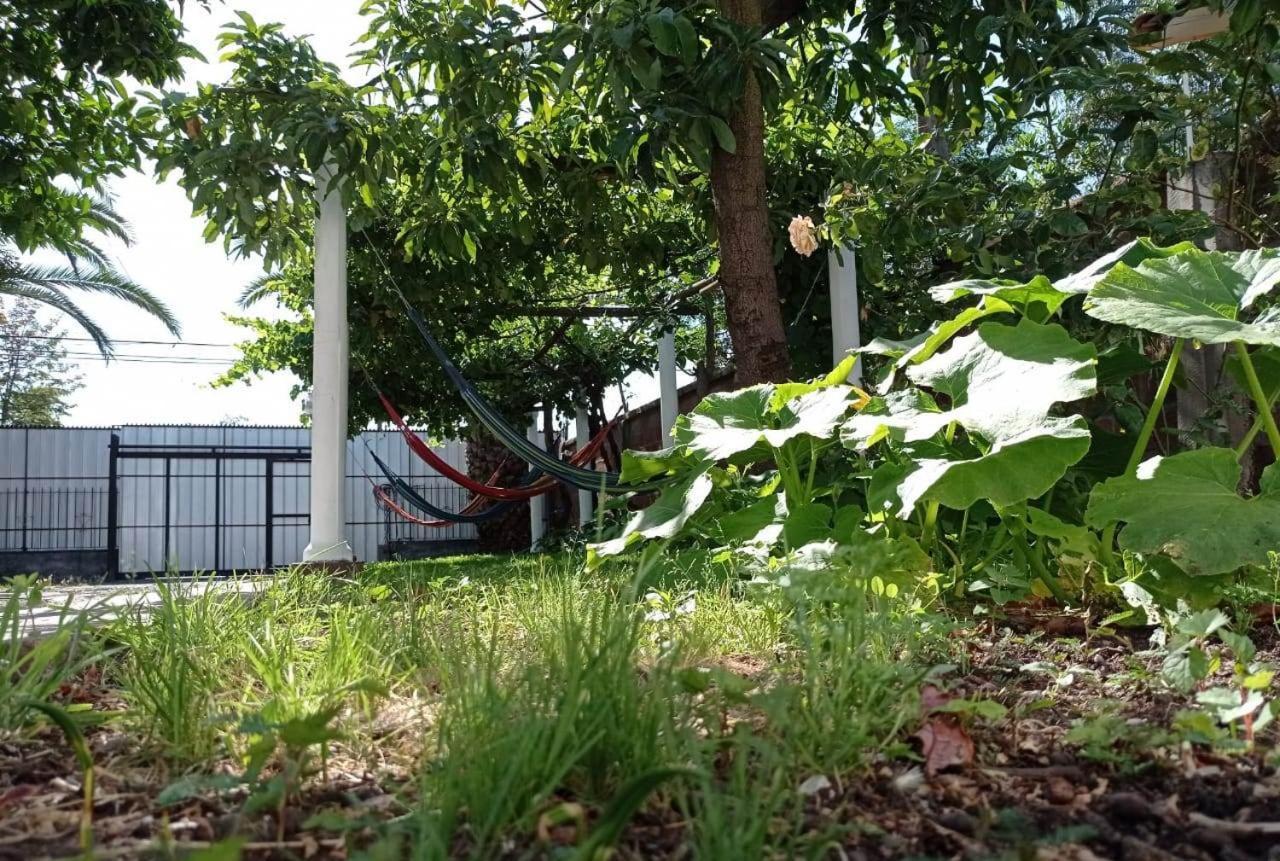 Hospedaje Curico Casa Grande Exterior photo